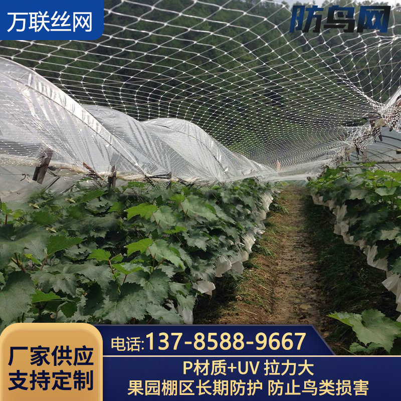 防鸟网